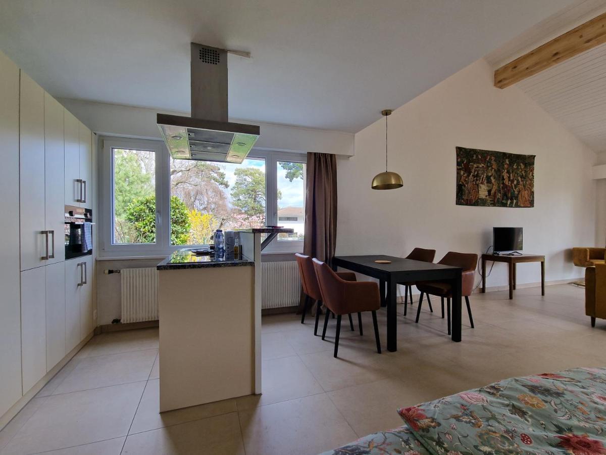 Le Debarcadere Appartement Saint Sulpice  Buitenkant foto