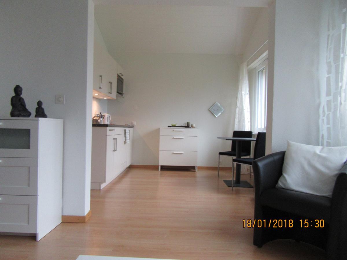 Le Debarcadere Appartement Saint Sulpice  Buitenkant foto